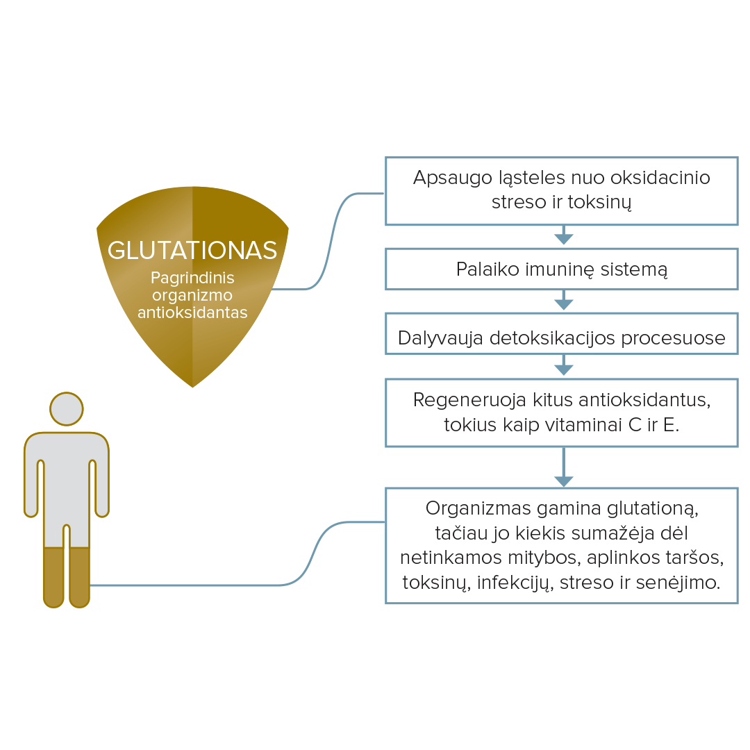 Glutationas antioksidantas